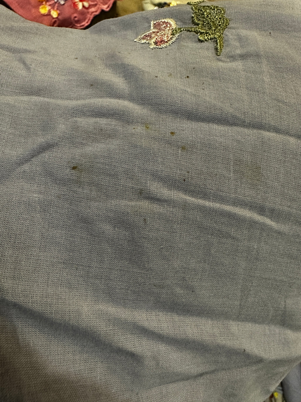 TELANG AS IS (Visible Stain)