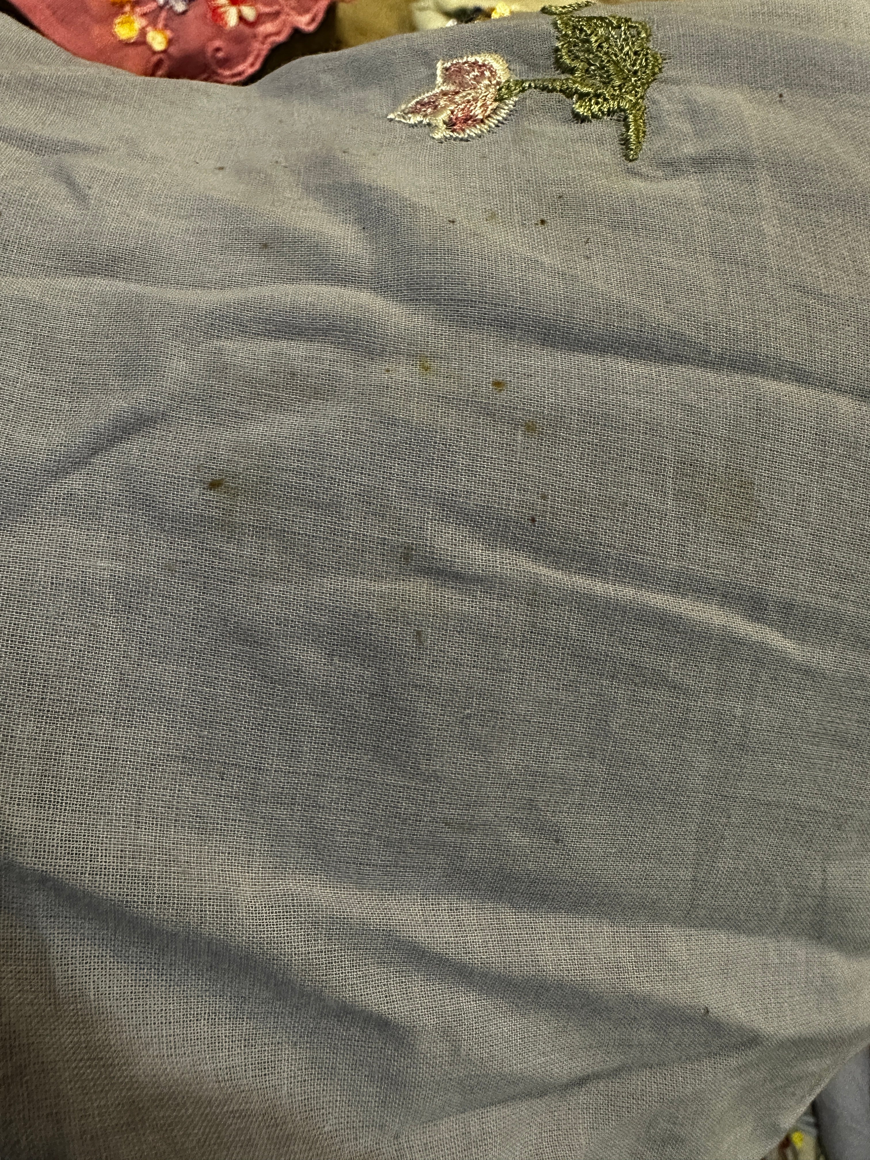 TELANG AS IS (Visible Stain)